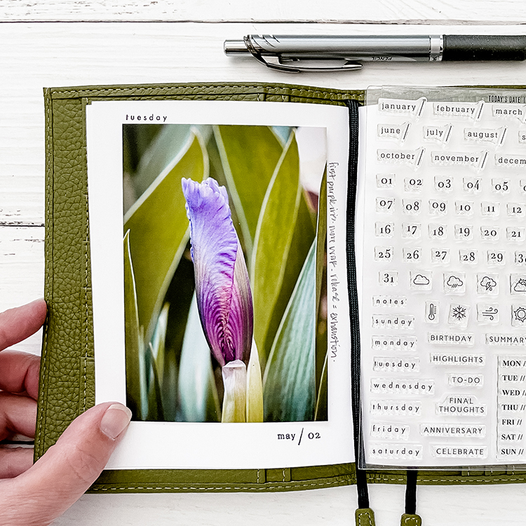 Stamps: Today's Date // Last Call - Image 2
